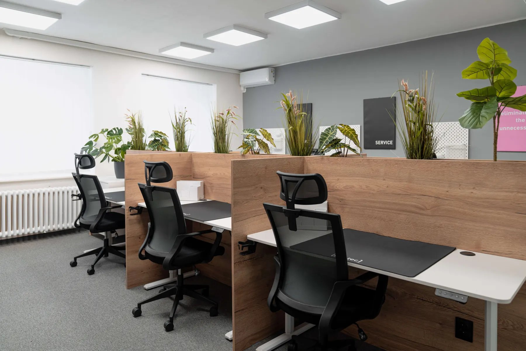 Coworking v Startup Campuse