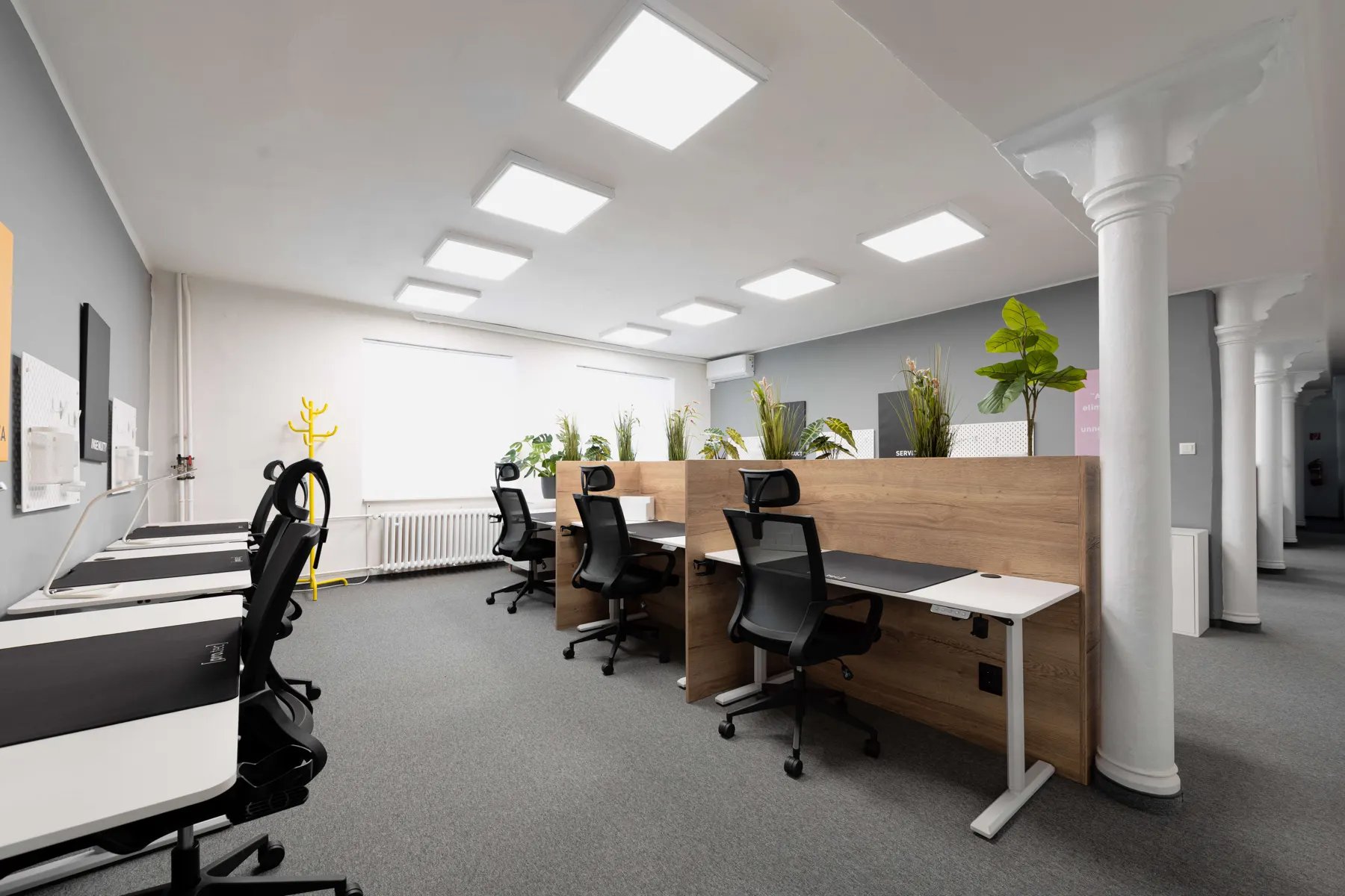 Coworking v Startup Campuse