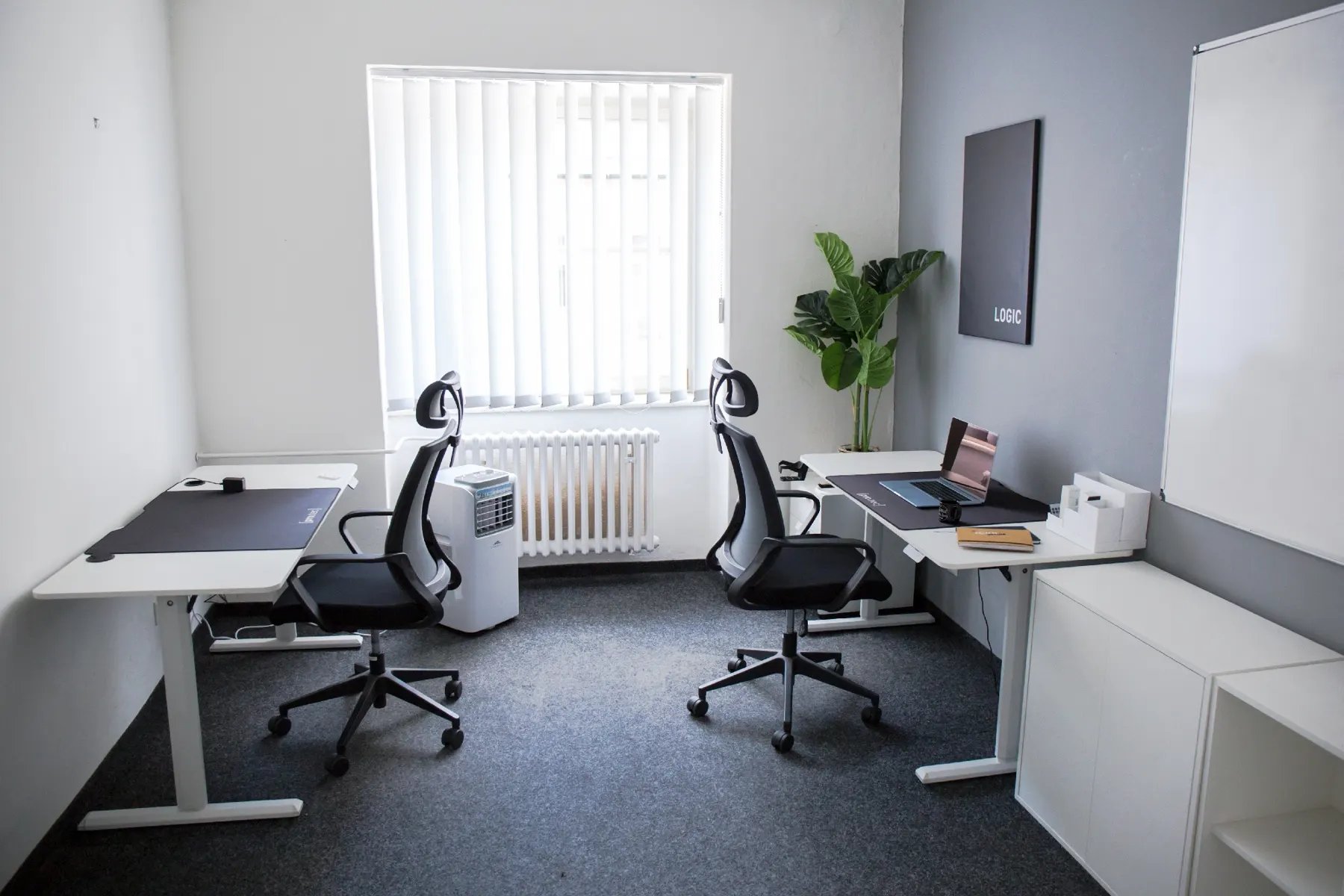 Coworking v Startup Campuse