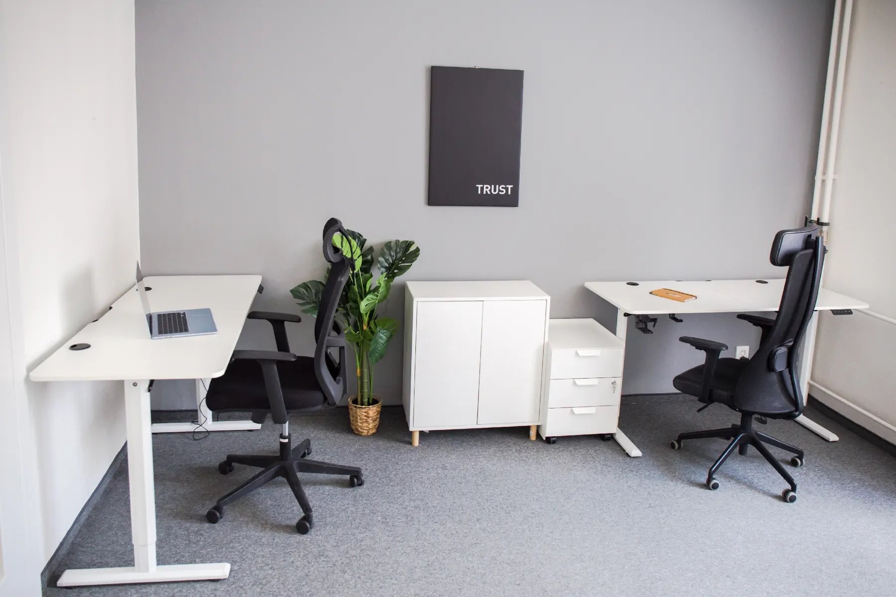 Coworking v Startup Campuse