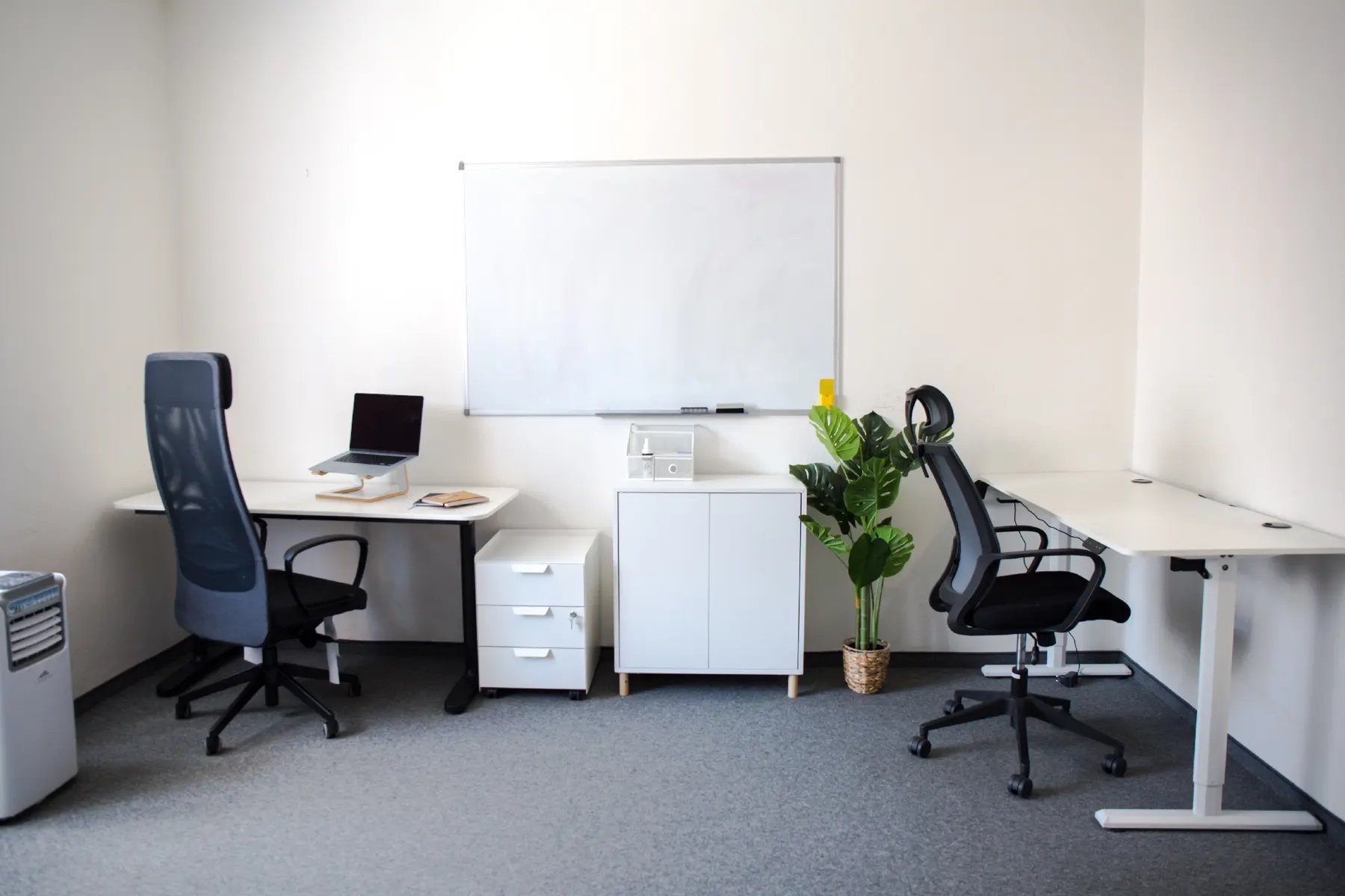 Coworking v Startup Campuse