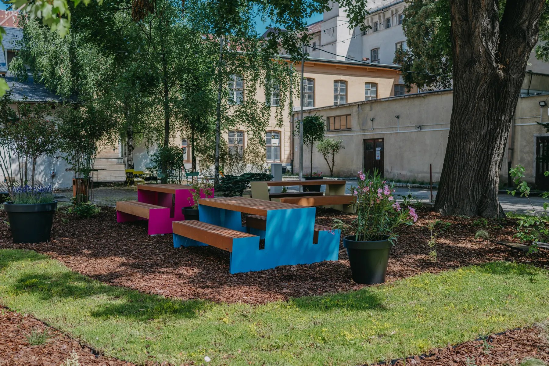 Coworking v Startup Campuse